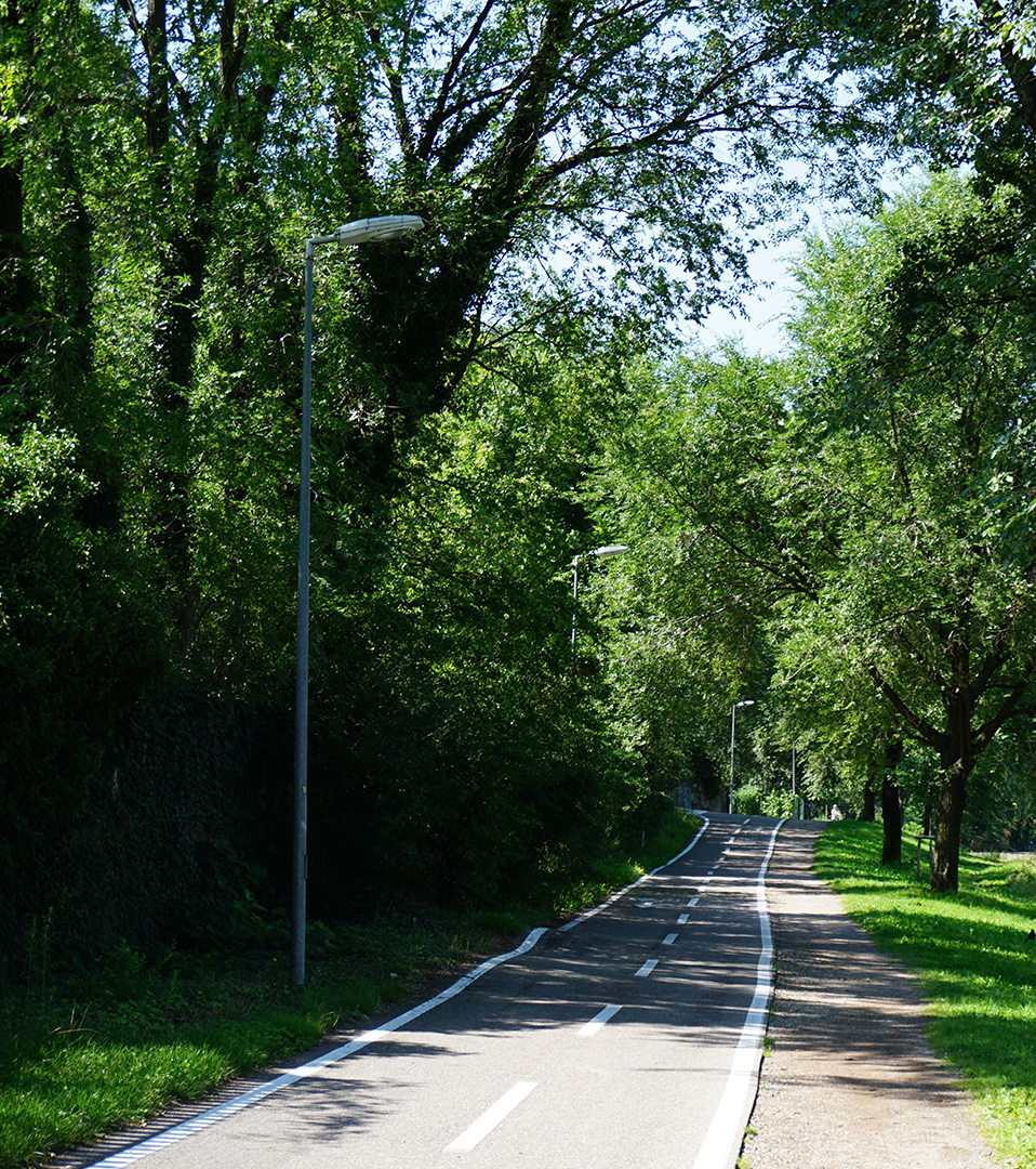 A paved trailway located in a wooded area, with a series of lampposts to illuminate the trail.