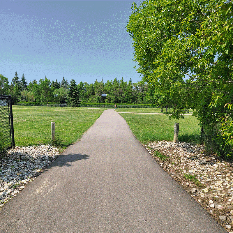 Examples of Paved Multi-Use Pedestrian Pathways