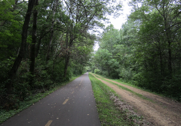 Example of a non-illuminated paved Multi-use pedestrian pathway beside a gravel pathway